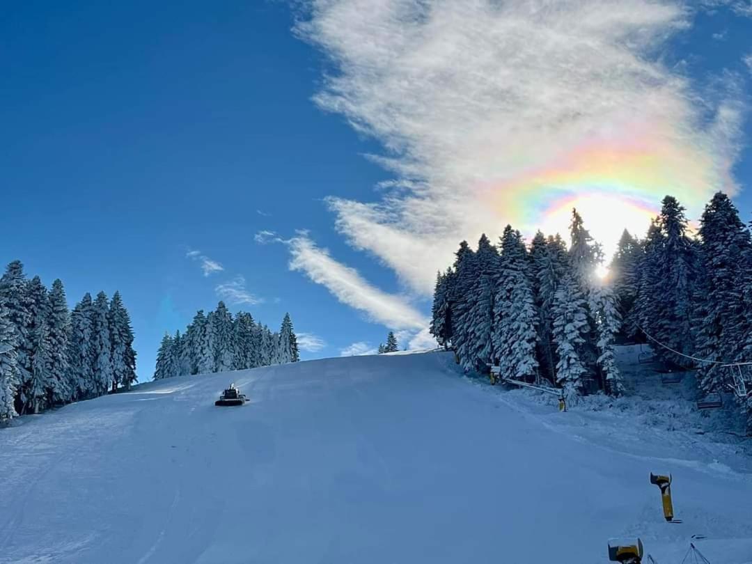 Fox Boutique Apartment Borovets Gardens Dış mekan fotoğraf